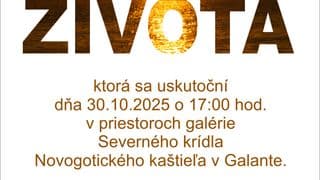 SEDEM PÁDOV ŽIVOTA